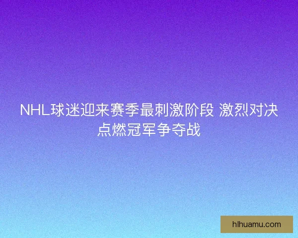 NHL球迷迎来赛季最刺激阶段 激烈对决点燃冠军争夺战